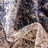 Parrado Ikat Indoor Rug-61862896