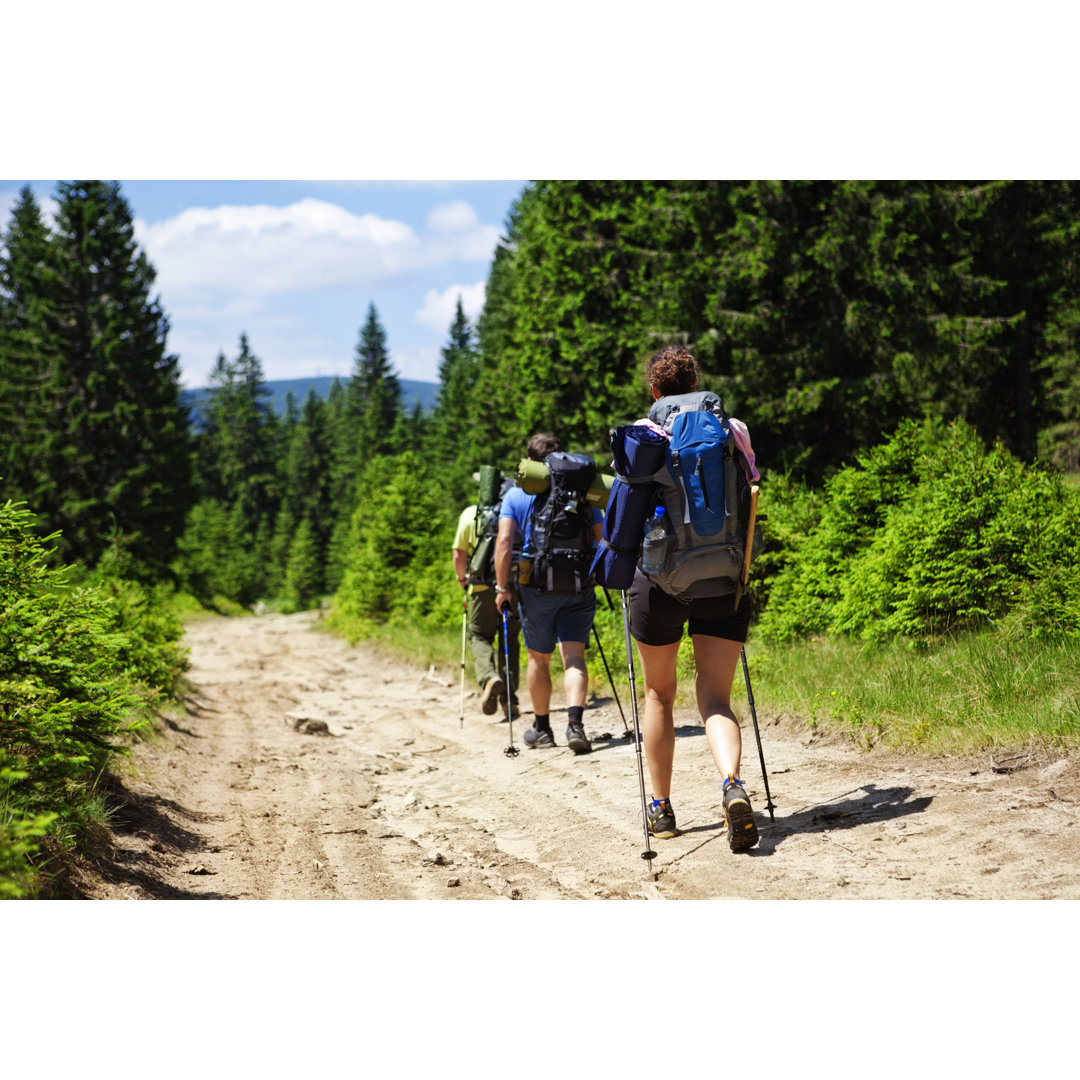 People Hiking von Gaspr13 - Kunstdrucke auf Leinwand ohne Rahmen