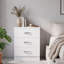 Lycinda 3-Drawer Chest of Drawers-1324373765