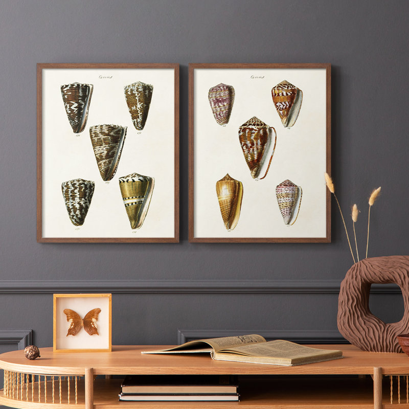 Impression encadrée V-Cone Shell Collection - prête à être accrochée - aucun clou requis - aucun clou requis, Noyer