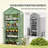 Small Portable Greenhouse,Mini Greenhouse-124615603