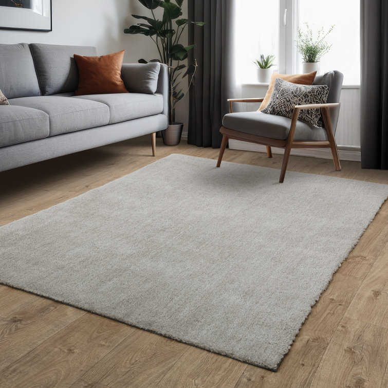 Aikin Solid Colour Shag Area Rug