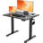 Electric Height Adjustable Standing Desk with Hooks-1887789156-1887789153