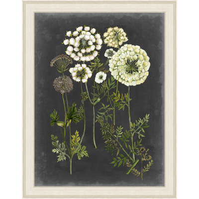 " Bookplate Floral II "