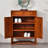 Solid wood furniture storage shoe cabinet-1163250579