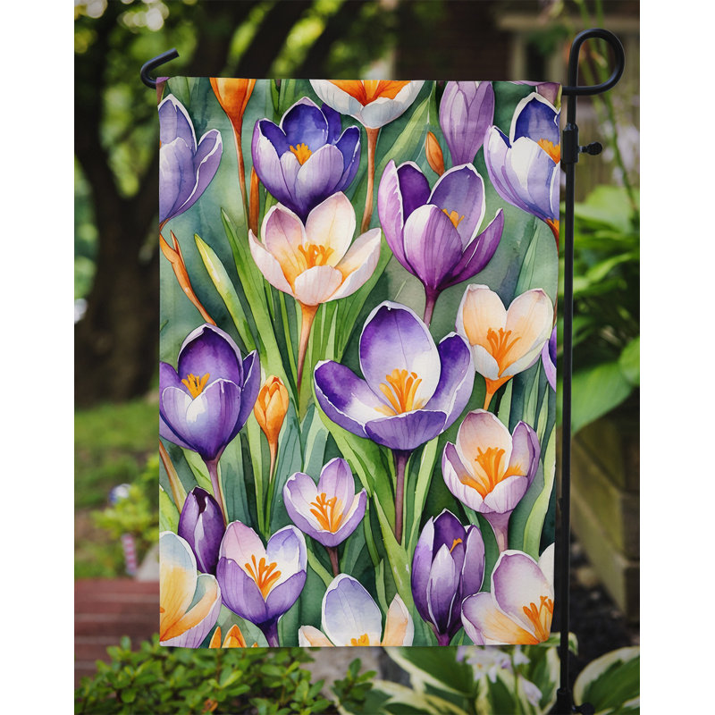 Orchidées paphiopedilum, drapeau du jardin, Fleurs de crocus