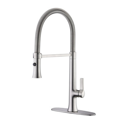Nita Collection High-Arc Single Handle Kitchen/Bar Faucet with 2-Function Pull-Out Spring Spout Sprayer - Brushed Nickel