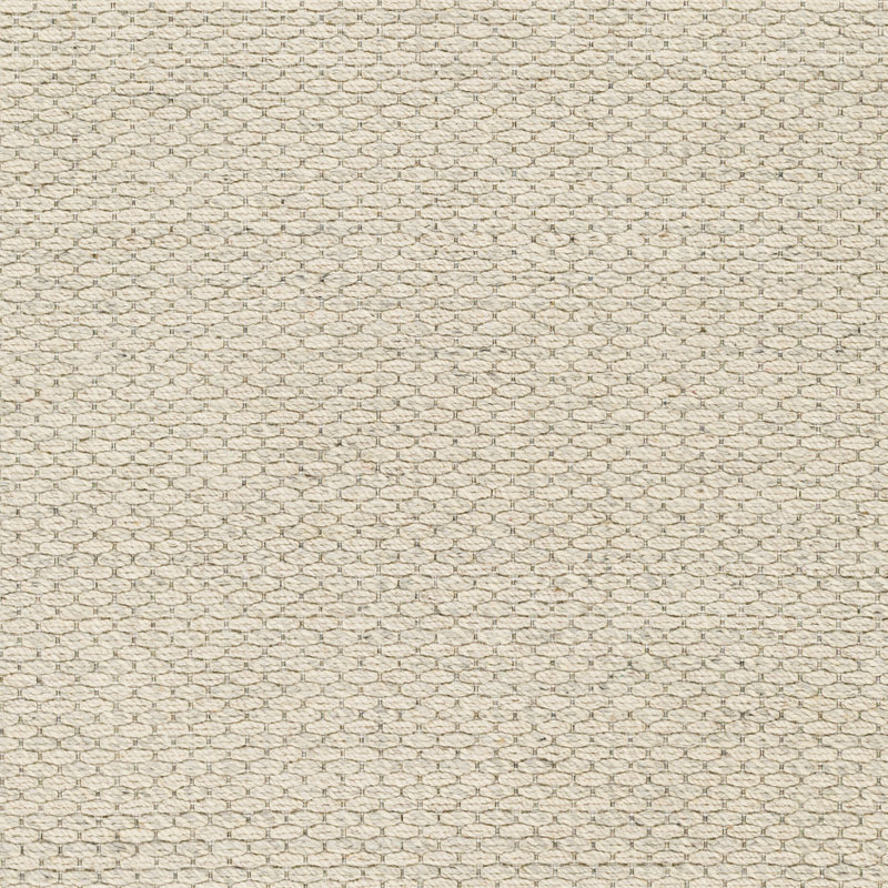 Rylee Performance Wool Indoor Rug, Rectangle 2' x 3'