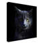 «Blue Cat» par Alain Grillet - reproduction de photo sur toile tendue-626050933