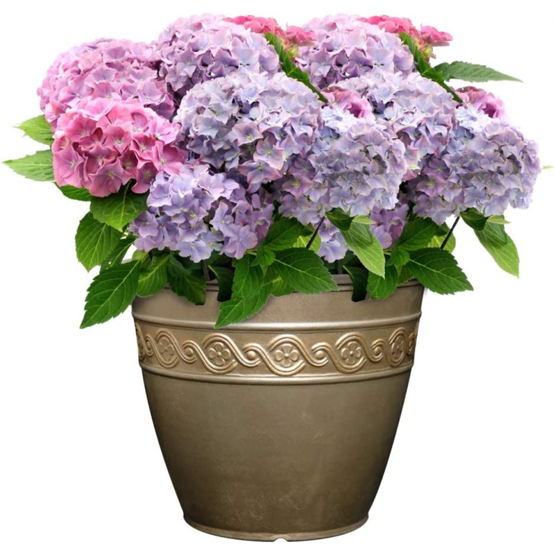 Milahn Resin Round Pot Planter, 8.5" H x 10" W x 10" D, Slate Blue