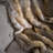 Raegan Faux Fur Throw Blanket-33350128-33350132
