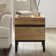 Aadam Modern End Table With 2 Drawers