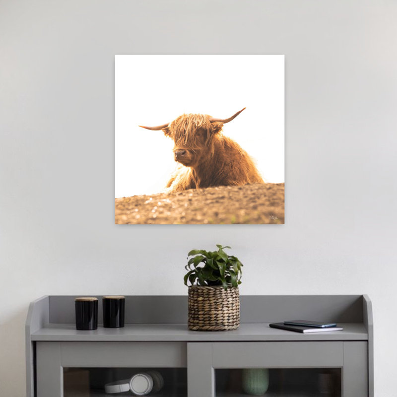 Portrait d'une vache contemporaine, H 18 po x l 18 po