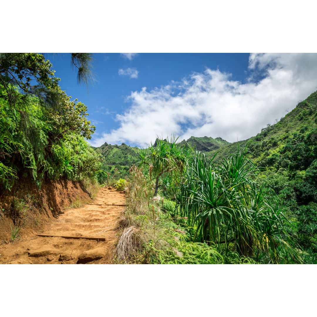 Kalalau Trail Landschaft von Onfokus - Druck