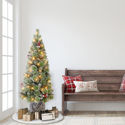 60' Lighted Pine Christmas Tree