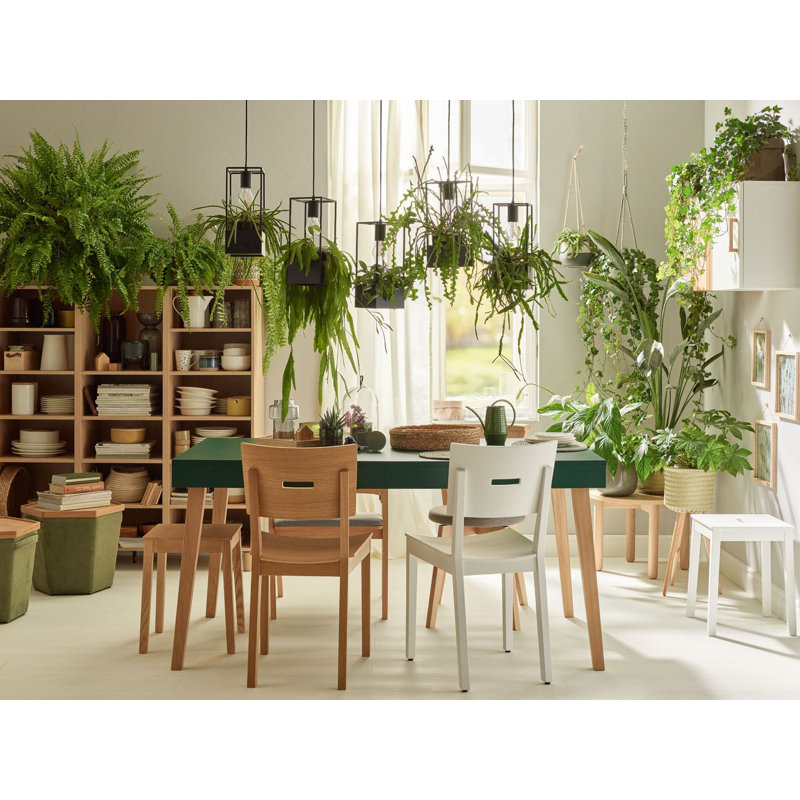 Shinde Dining Chair, White