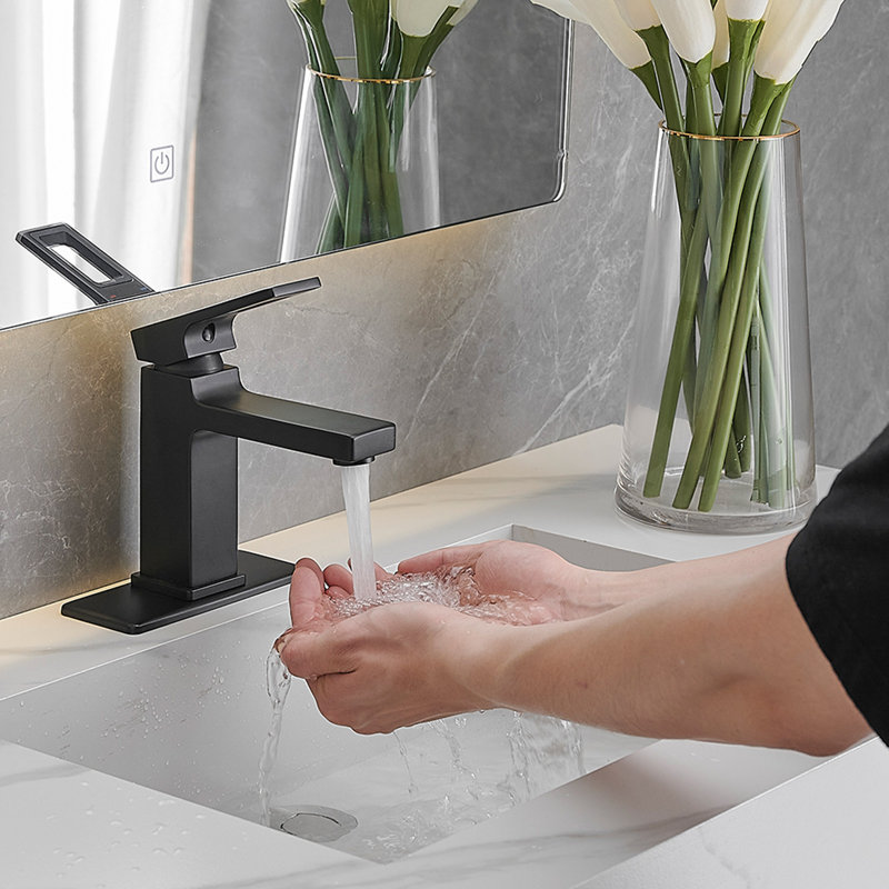 Single-Handle Bathroom Faucet With Drain Assembly, Matte Black