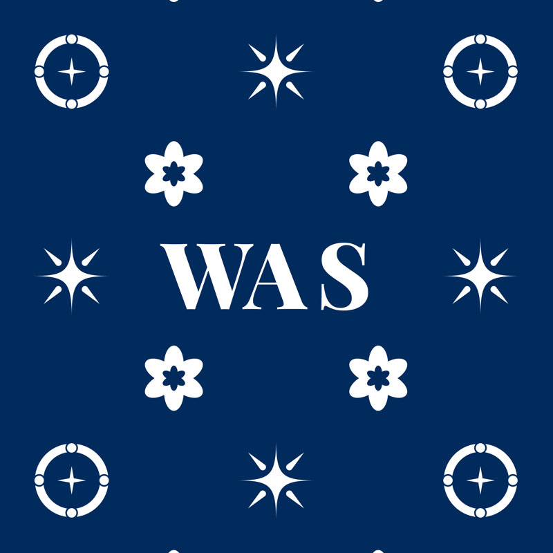 Coussin en simili lin Washington Basketball
