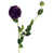 Purple selected