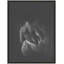 The Unveiling 1 Print-1995362339