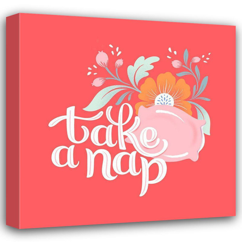 Red Barrel Studio Graham, Gia Gallery Wrapped Canvas Art Titled: Take a Nap I