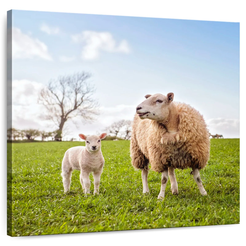 Brampt Sheep And Lamb, 10" H x 10" W
