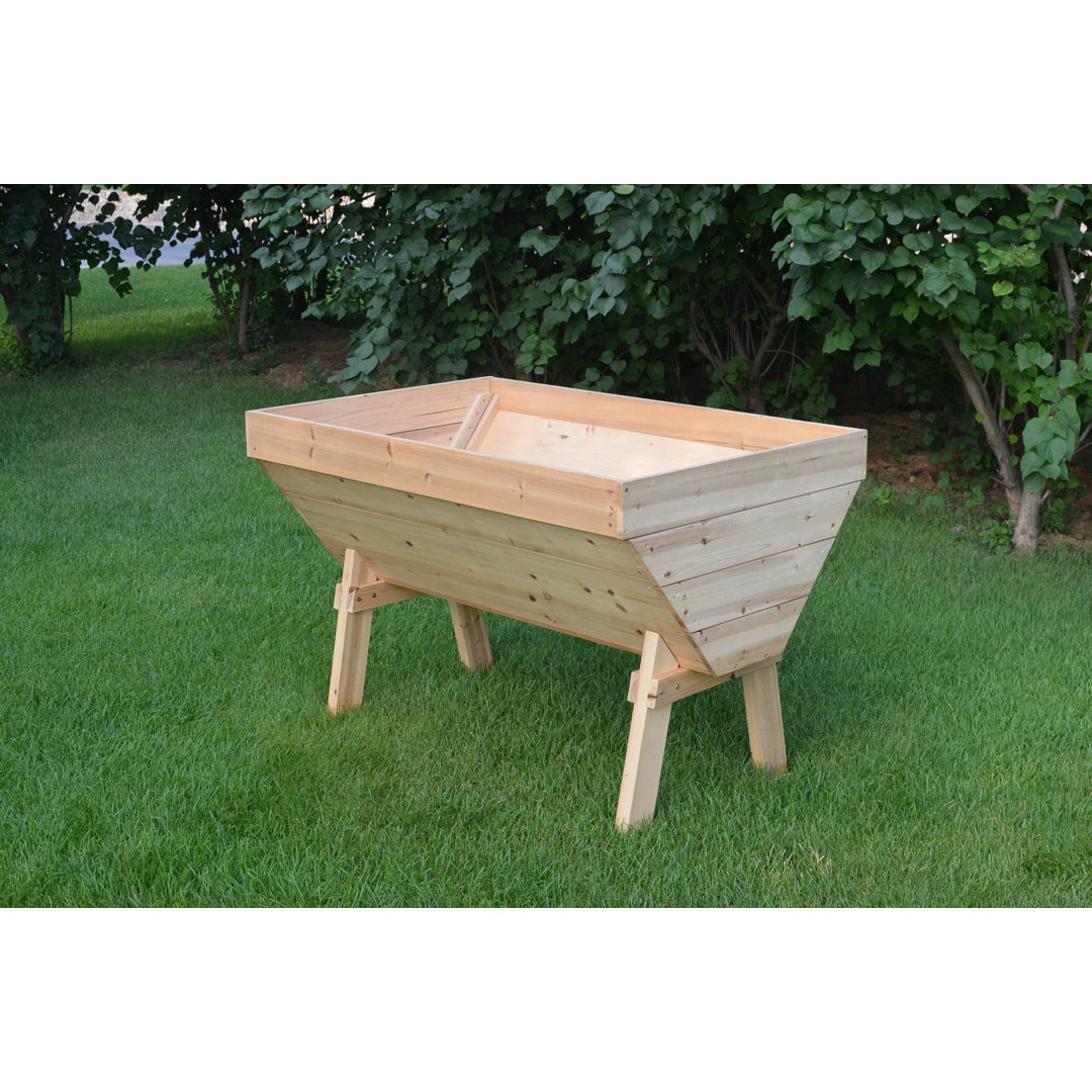 Boren Wood Elevated Planter Gracie Oaks