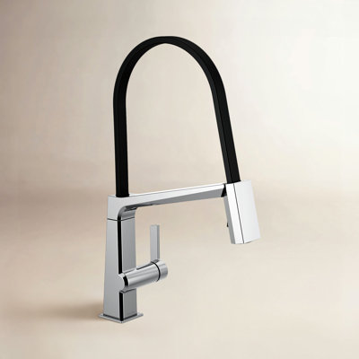 Pivotal Exposed Hose Kitchen Faucet
