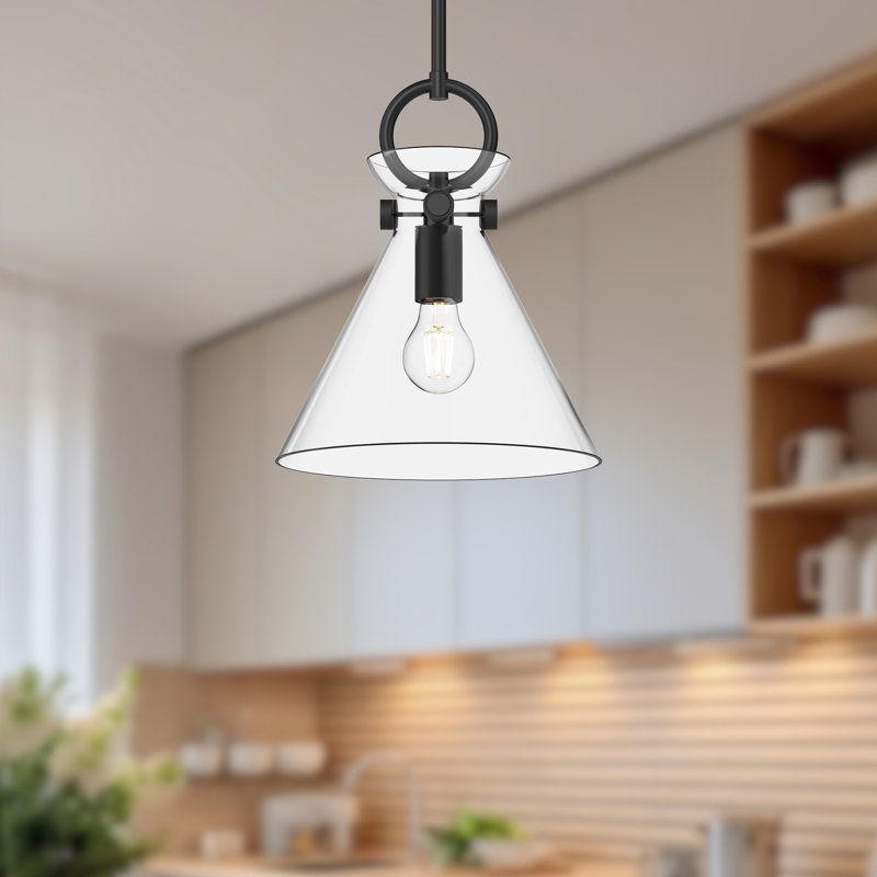 Tiney 1 - Light Single Pendant, 12.75" H x 10.5" W x 10.5" D, Matte Black/Clear
