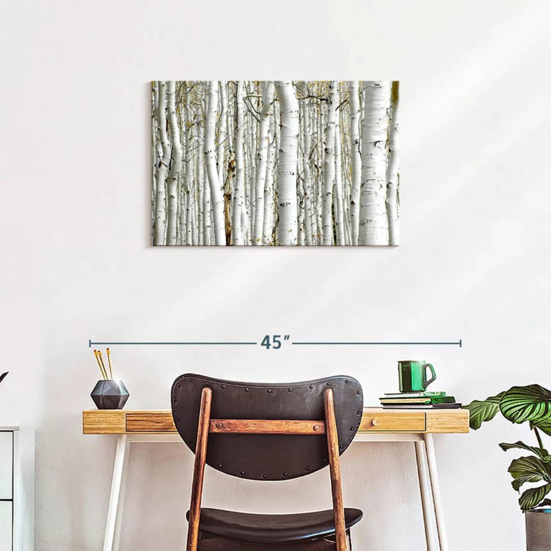 Alvord Birch Wood, 20" H x 30" W