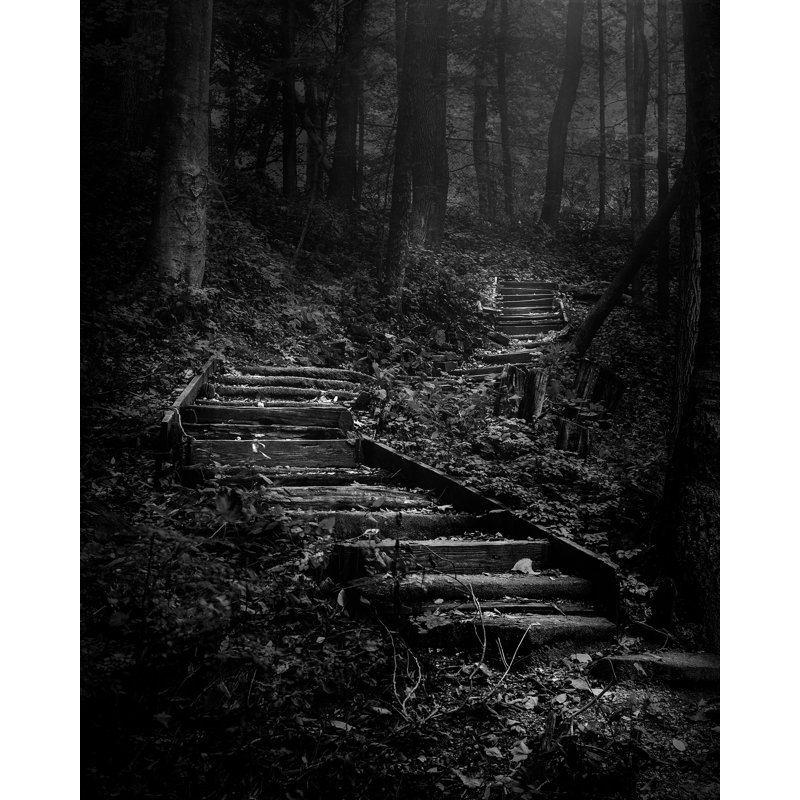 Forest Stairs Print, Black Framed Paper, 21.25" H x 17.25" W