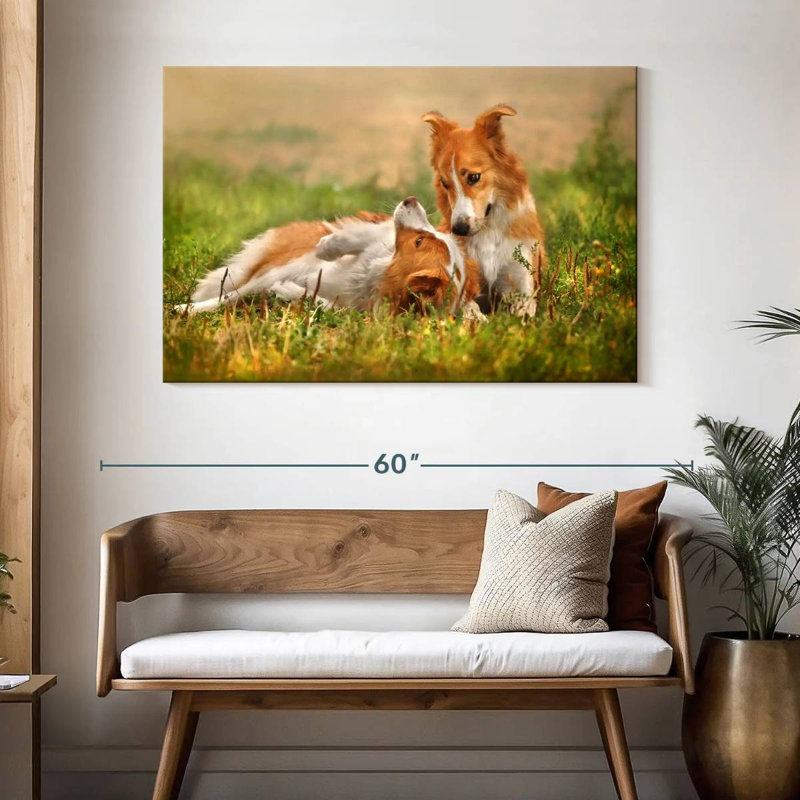 Brampt Border Collie Playtime, 32" H x 48" W