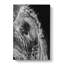 Watchful Elephant - Wrapped Canvas-55305285