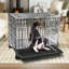 Stainless Steel Dog Cage & Playpen-1592738321