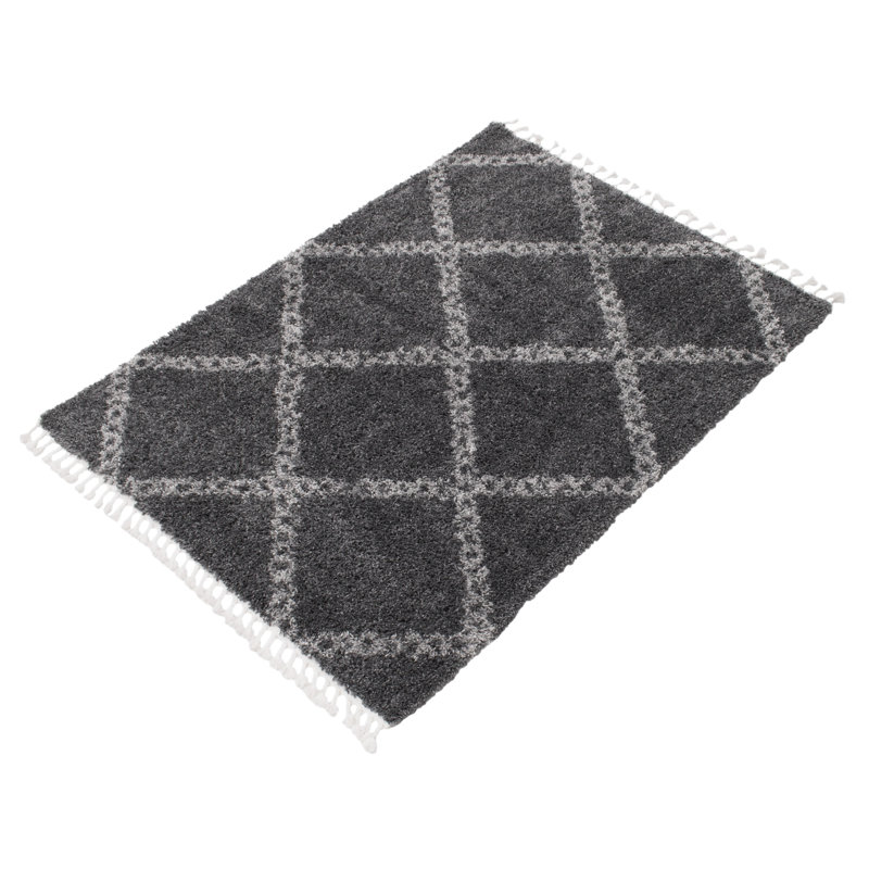Tapis gris à poils longs Reuter, Rectangle 3 pi 11 po x 5 pi 11 po