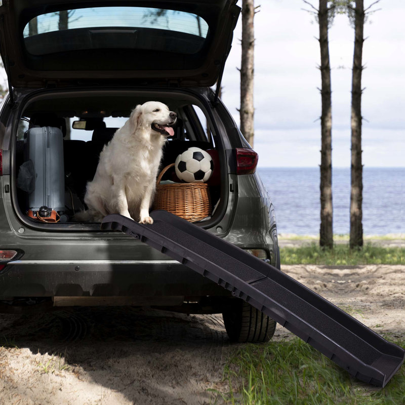 Rampe d'escalade portable tout-terrain pour animaux de compagnie - noire et sécurisée, porteuse de 90 kg, antidérapante, pliable pour plus de commodité