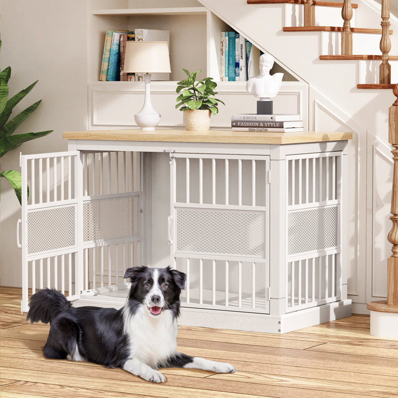 Grande cage robuste pour chien avec 2 portes doubles, Blanc, H 30,7 po x l 40,9 po x P 23 po
