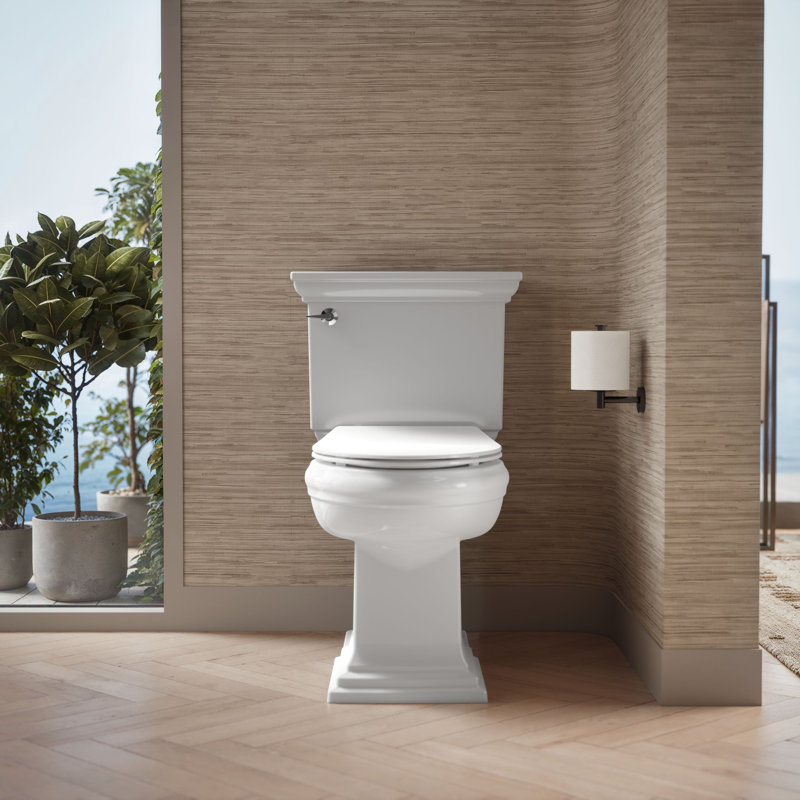 Carbyne Quiet-Close Elongated Toilet Seat