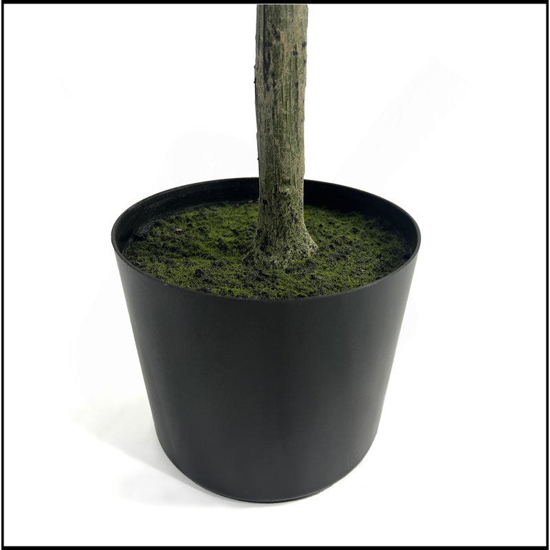 ARBRE D'OLIVE ARTIFIQUE 150CM 150CM, H 59 po x l 23 po x P 23 po