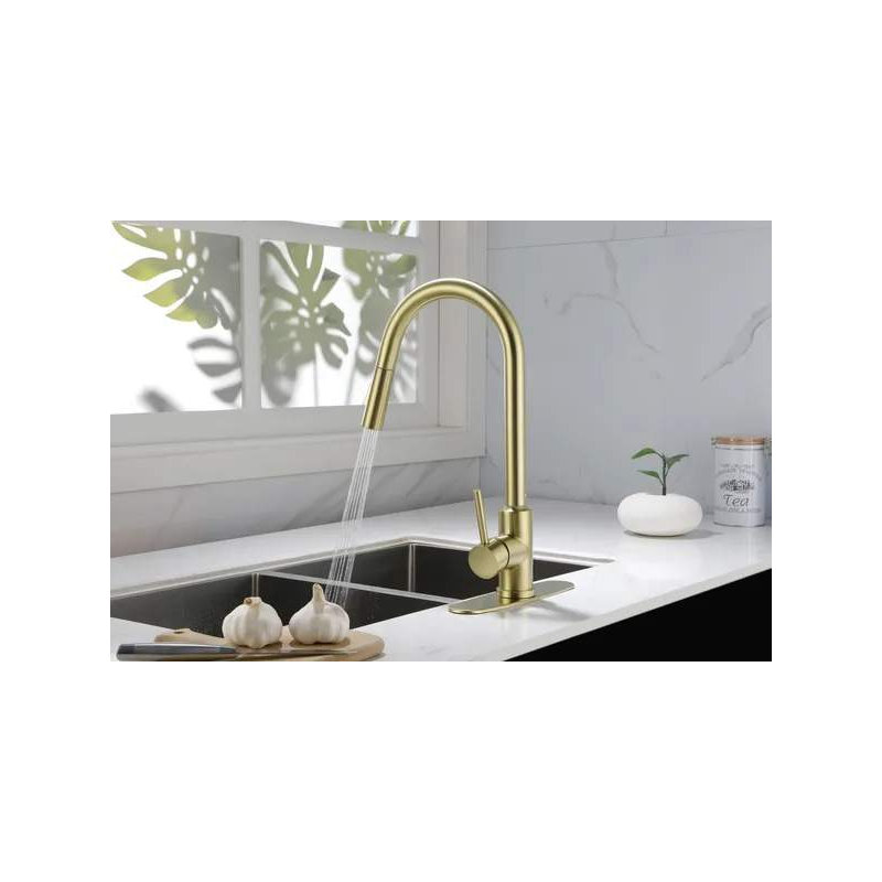 Robinet de cuisine avec douchette extractible