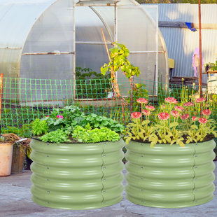 13 best raised garden beds to grow plants anywhere in 2023