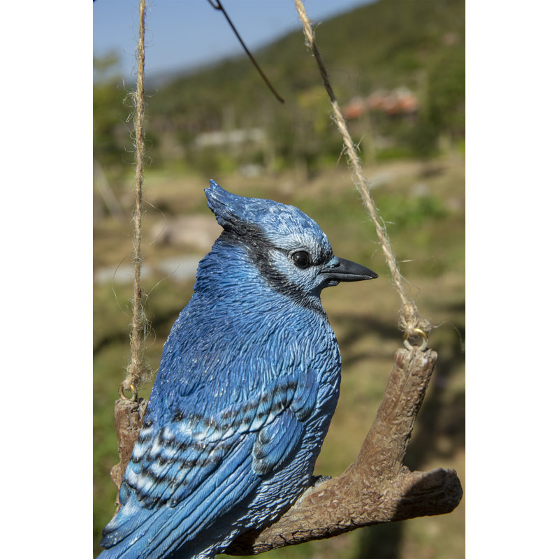 Hanging Jay on a Branch