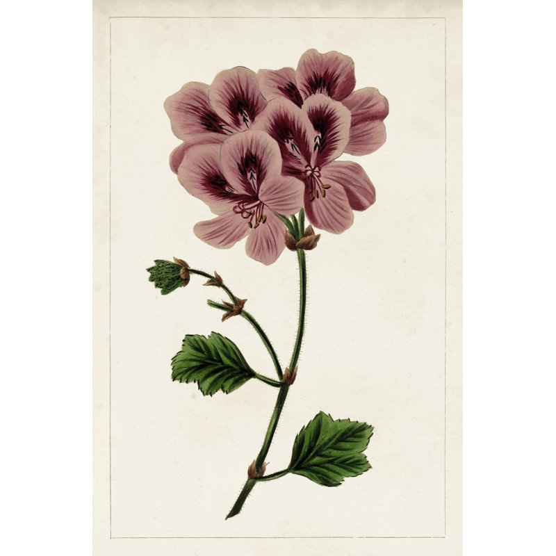Mauve Botanicals III - Wrapped Canvas Painting, 30cm H x 20cm W