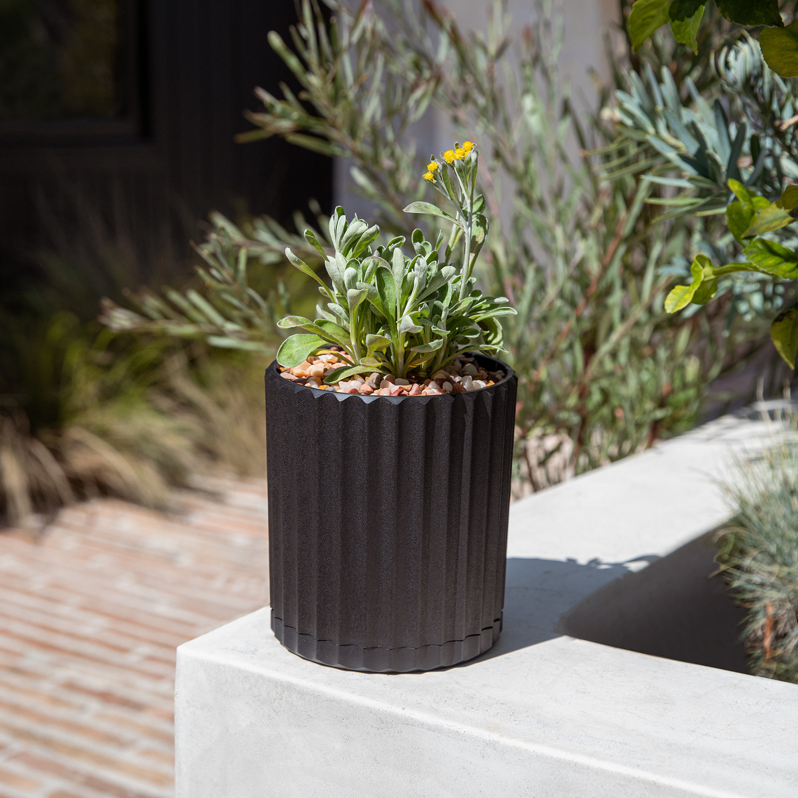 Demi Series 6" Pot Planter, Black, 1