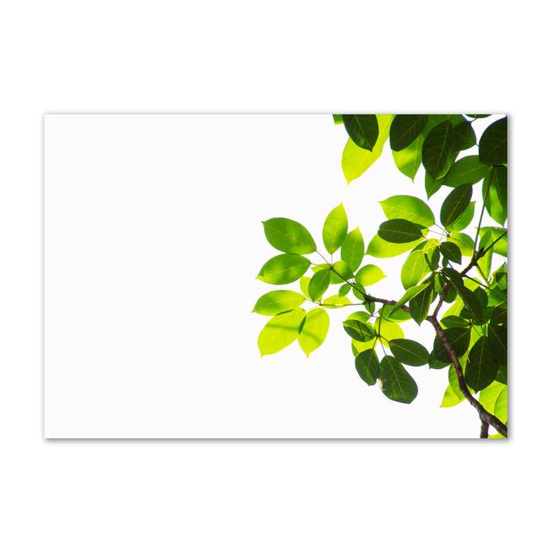 Leaves - No Frame Print on Canvas