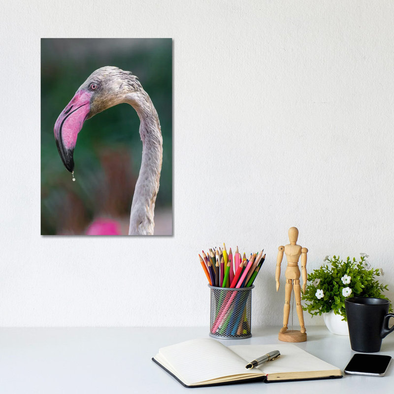 Bird Love 1 Piece Wrapped Canvas Wall Art, 20.32 cm H x 30.48 cm W