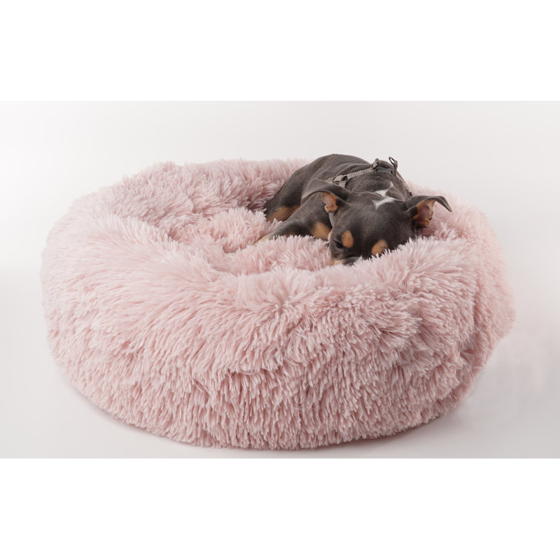 Lit pour animal de compagnie Correa, Petit (H 6 po x l 23 po x P 23 po), Rose
