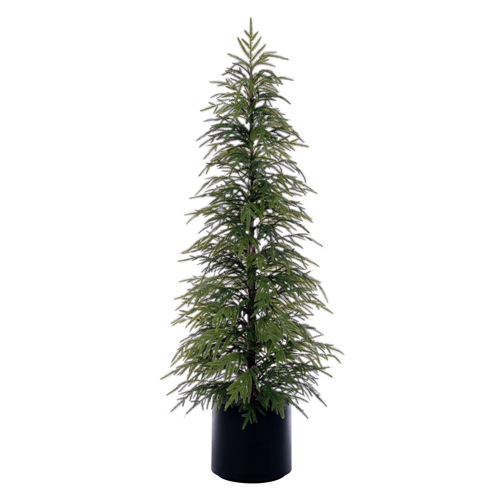 Pine Christmas Tree, 5