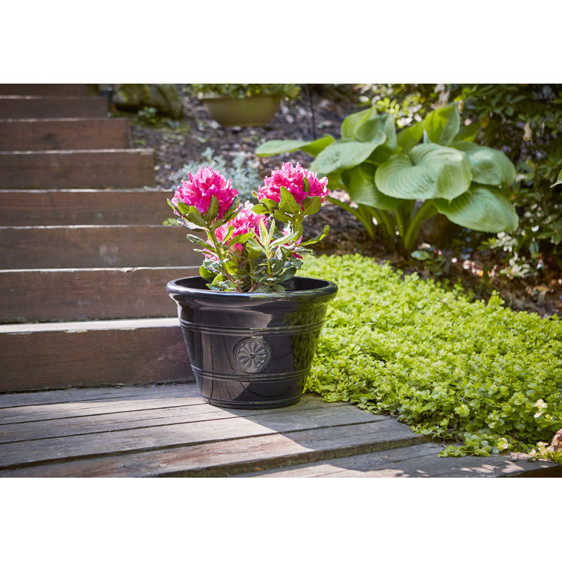 15.25" Modesto Resin Planter, Black