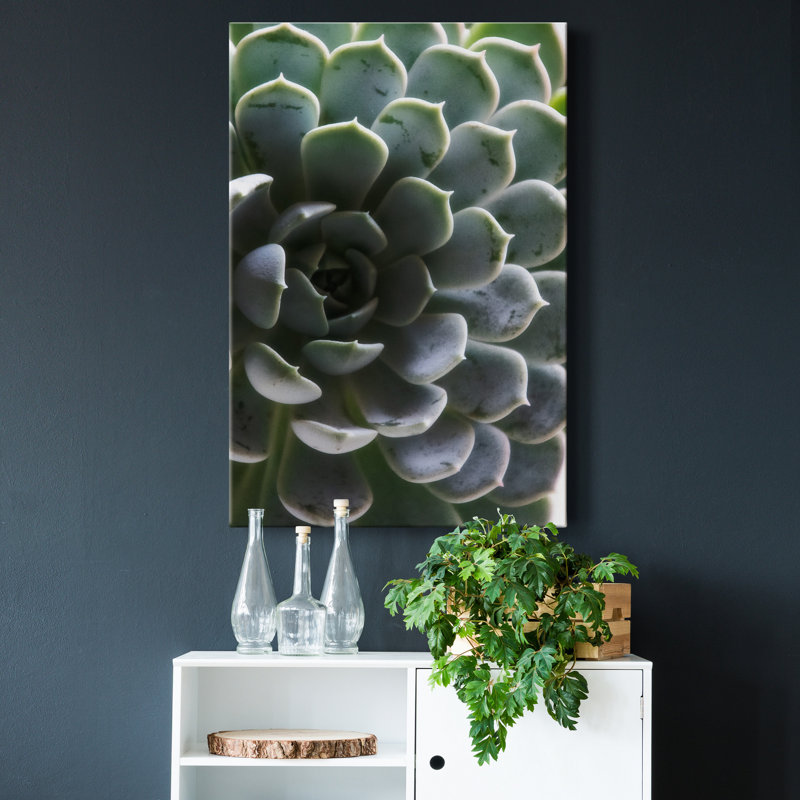 Zen Succulent I - reproduction de photo sur toile tendue, H 60 po x l 40 po x P 1 po